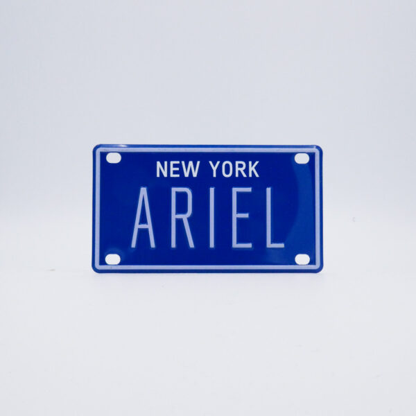 NY-PLATE-BLUE-Ariel