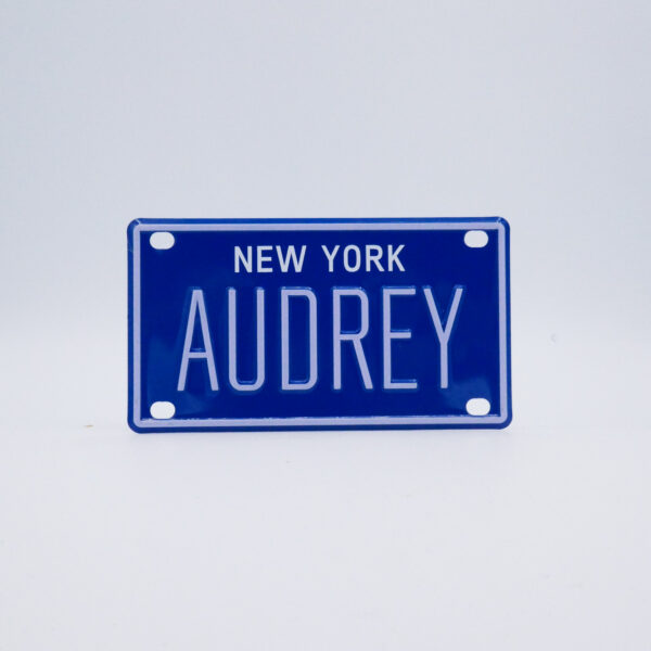 NY-PLATE-BLUE-Audrey