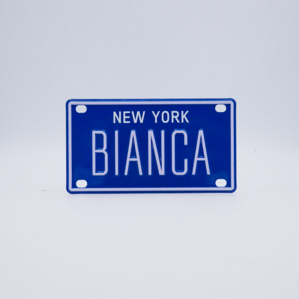 NY-PLATE-BLUE-Bianca