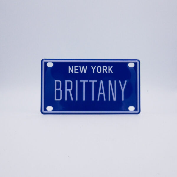 NY-PLATE-BLUE-Brittany