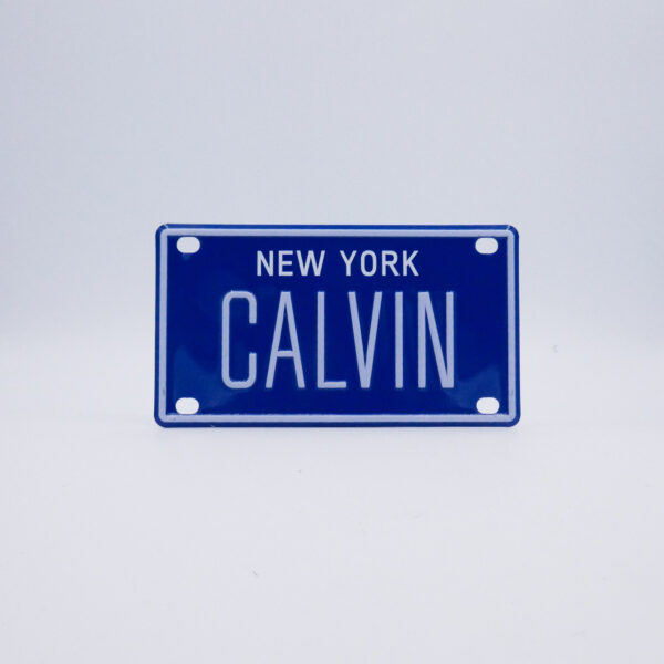 NY-PLATE-BLUE-Calvin