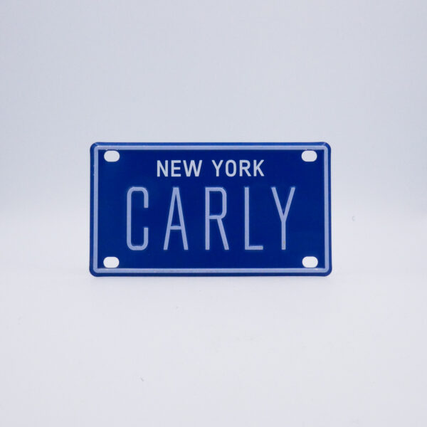 NY-PLATE-BLUE-Carly