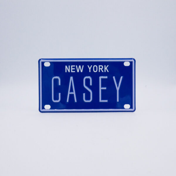 NY-PLATE-BLUE-Casey