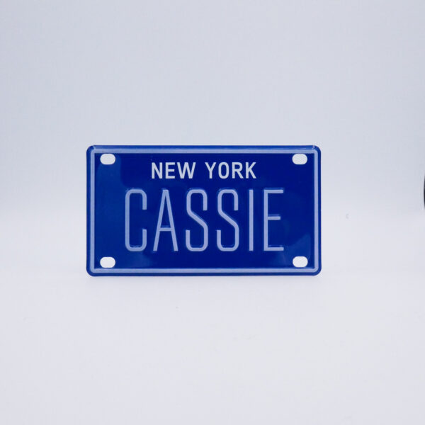 NY-PLATE-BLUE-Cassie