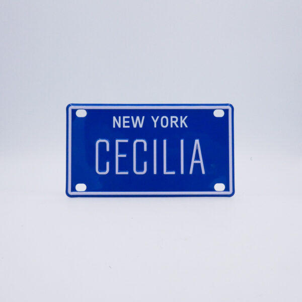 NY-PLATE-BLUE-Cecilia