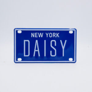 NY-PLATE-BLUE-Daisy