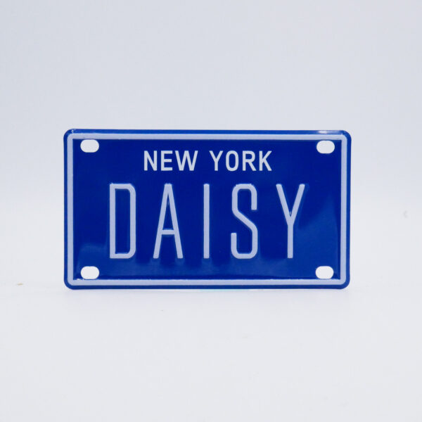NY-PLATE-BLUE-Daisy