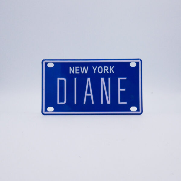 NY-PLATE-BLUE-Diane