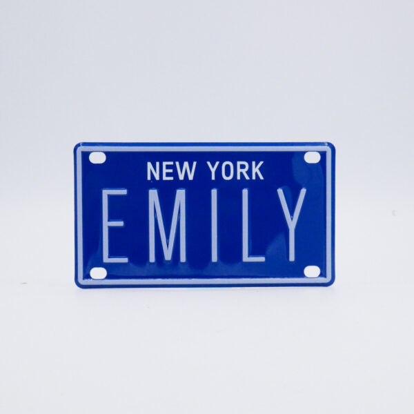 NY-PLATE-BLUE-Emily