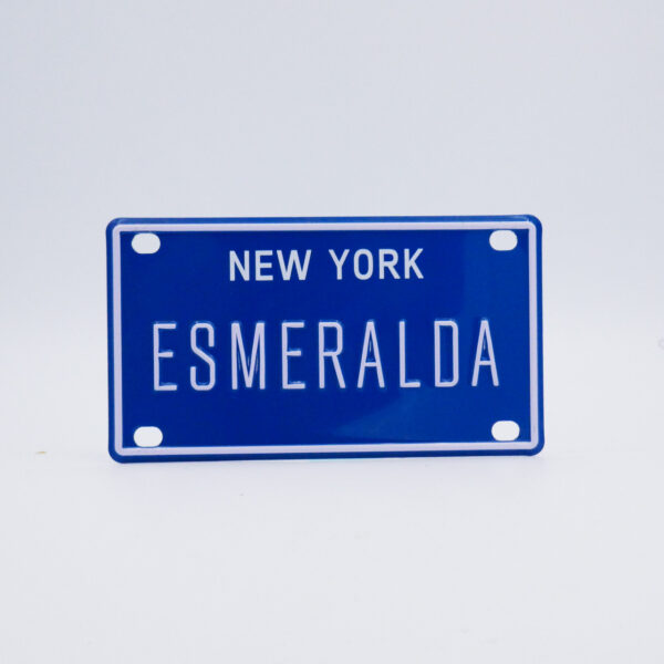 NY-PLATE-BLUE-Esmeralda
