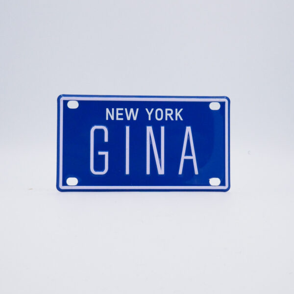 NY-PLATE-BLUE-Gina