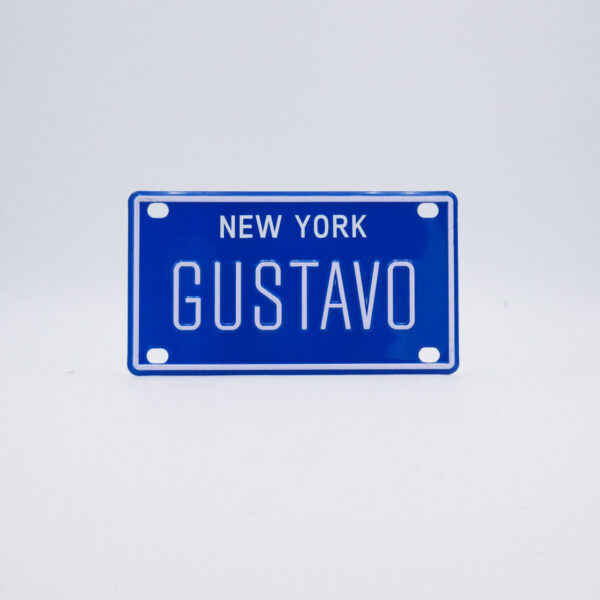 NY-PLATE-BLUE-Gustavo