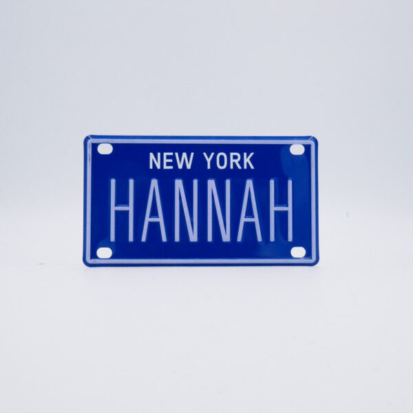 NY-PLATE-BLUE-Hannah