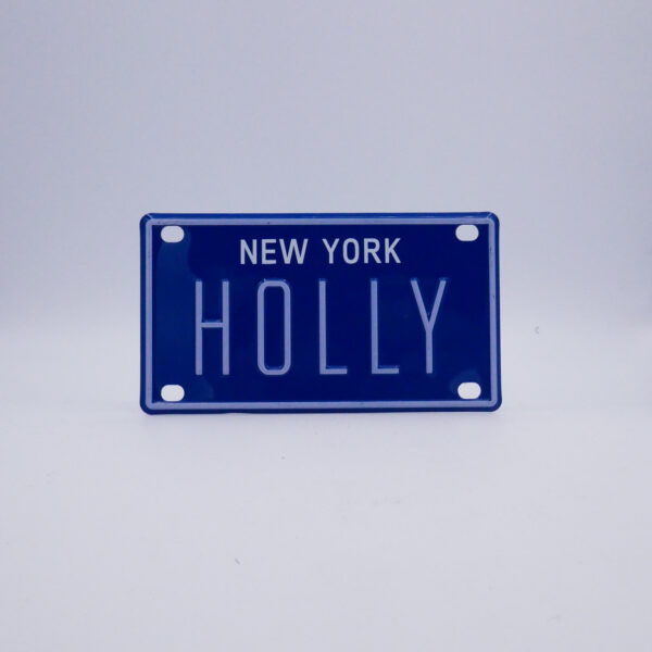 NY-PLATE-BLUE-Holly