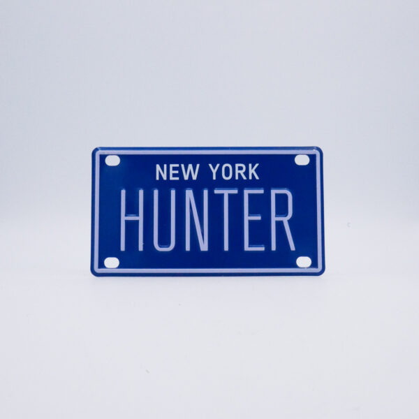 NY-PLATE-BLUE-Hunter