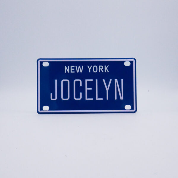 NY-PLATE-BLUE-Jocelyn