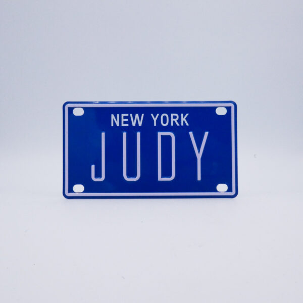 NY-PLATE-BLUE-Judy