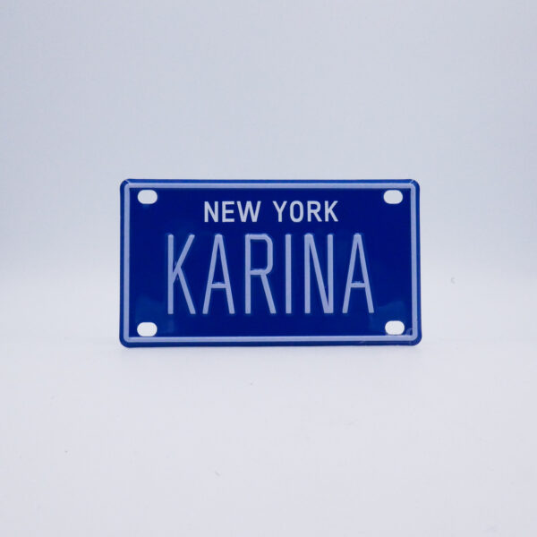 NY-PLATE-BLUE-Karina
