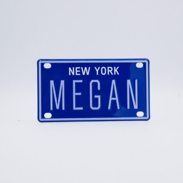 NY-PLATE-BLUE-Megan