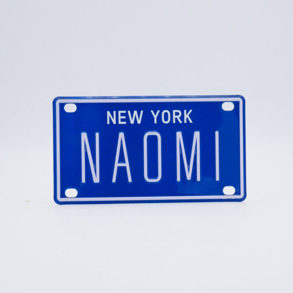NY-PLATE-BLUE-Naomi