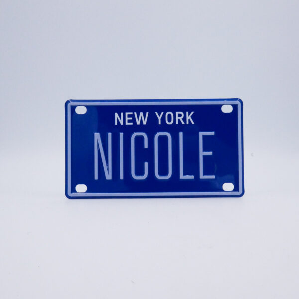 NY-PLATE-BLUE-Nicole