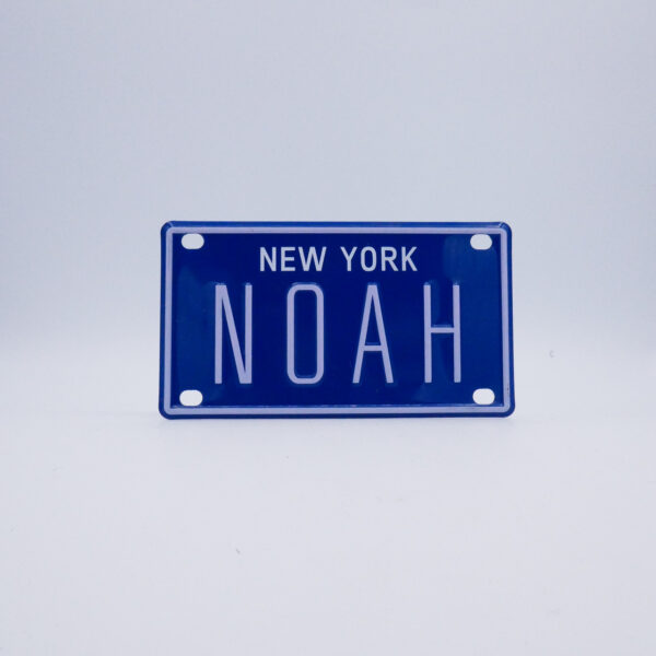 NY-PLATE-BLUE-Noah