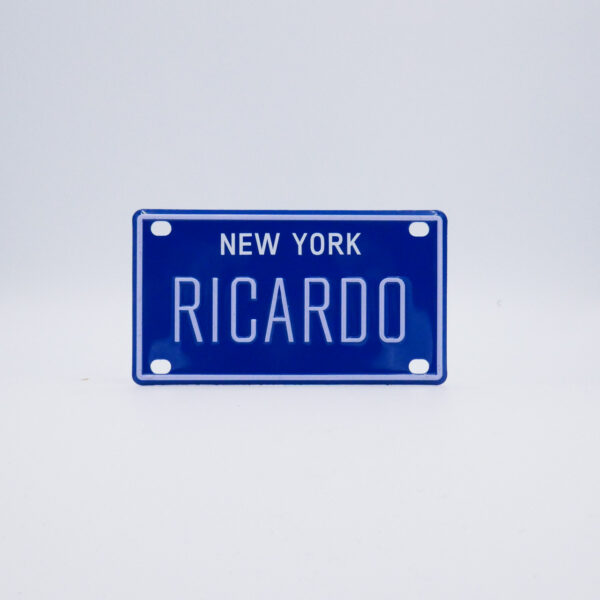 NY-PLATE-BLUE-Ricardo