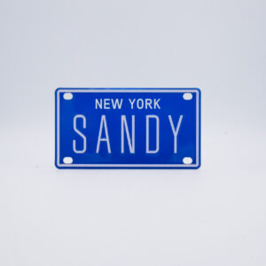 NY-PLATE-BLUE-Sandy