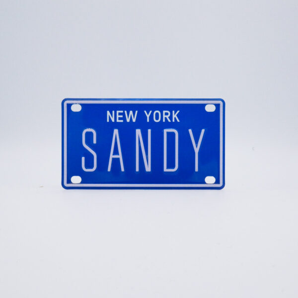 NY-PLATE-BLUE-Sandy