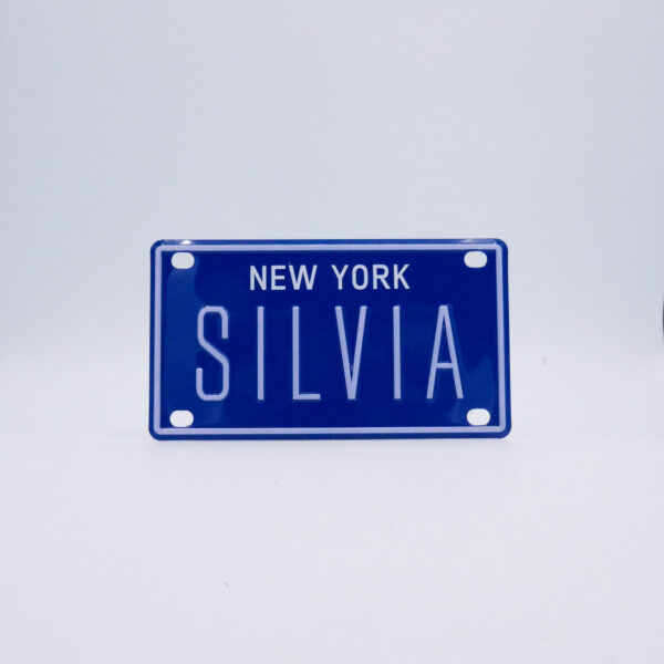 NY-PLATE-BLUE-Silvia
