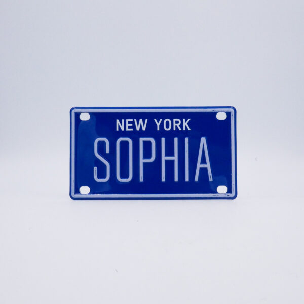 NY-PLATE-BLUE-Sophia