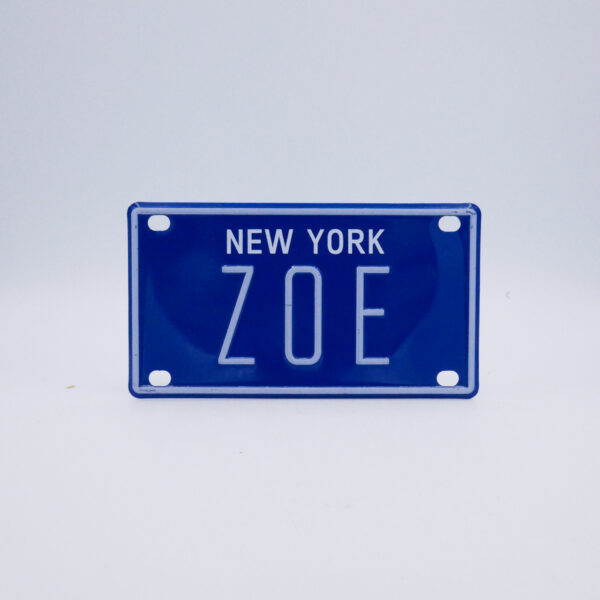 NY-PLATE-BLUE-Zoe