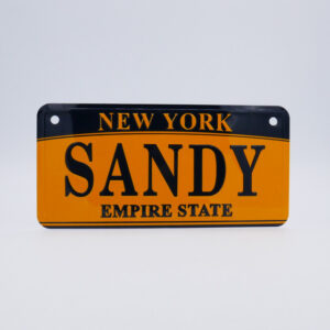 NY-PLATE-ORIGINAL-Sandy