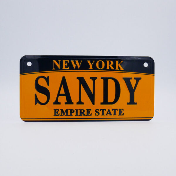 NY-PLATE-ORIGINAL-Sandy